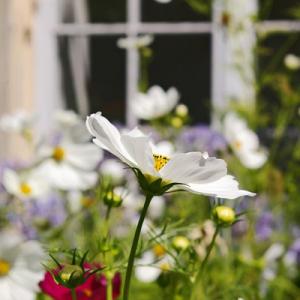 Professionelle Gartengestaltung – Mehr als nur schön!