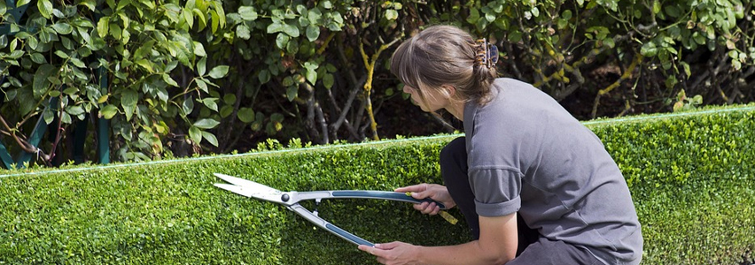 Garten-Inspiration & Ideen